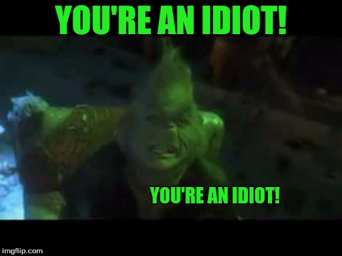 "You're an Idiot!" Said the Grinch | YOU'RE AN IDIOT! YOU'RE AN IDIOT! | image tagged in you're an idiot | made w/ Imgflip meme maker