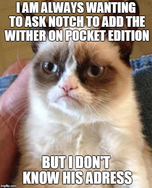 Grumpy Cat Meme | I AM ALWAYS WANTING TO ASK NOTCH TO ADD THE WITHER ON POCKET EDITION; BUT I DON'T KNOW HIS ADRESS | image tagged in memes,grumpy cat | made w/ Imgflip meme maker