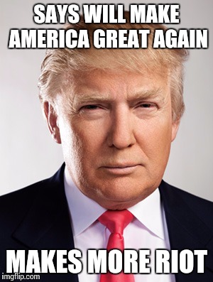 Donald Trump | SAYS WILL MAKE AMERICA GREAT AGAIN; MAKES MORE RIOT | image tagged in donald trump | made w/ Imgflip meme maker