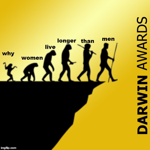 Darwin Awards | image tagged in darwin award,funny memes | made w/ Imgflip meme maker