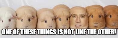 One of these things is not like the other! | ONE OF THESE THINGS IS NOT LIKE THE OTHER! | image tagged in nicholas cage,one of these things is not like the others | made w/ Imgflip meme maker