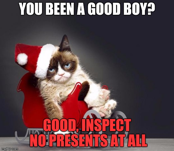 Expect****
DARNY DARNY DARN DARN!!!!!!!!!!!! | YOU BEEN A GOOD BOY? GOOD, INSPECT NO PRESENTS AT ALL | image tagged in grumpy cat christmas hd,no presents for you,grumpy | made w/ Imgflip meme maker
