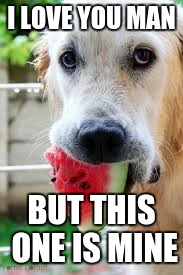 I LOVE YOU MAN; BUT THIS ONE IS MINE | image tagged in dogs,watermelon,memes | made w/ Imgflip meme maker