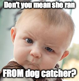 Skeptical Baby Meme | Don't you mean she ran FROM dog catcher? | image tagged in memes,skeptical baby | made w/ Imgflip meme maker