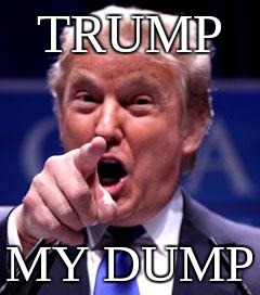 Trump Trademark | TRUMP; MY DUMP | image tagged in trump trademark | made w/ Imgflip meme maker