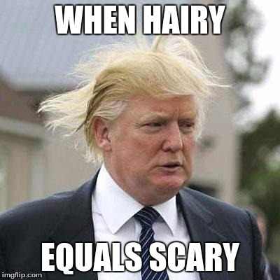 Donald Trump | WHEN HAIRY; EQUALS SCARY | image tagged in donald trump | made w/ Imgflip meme maker