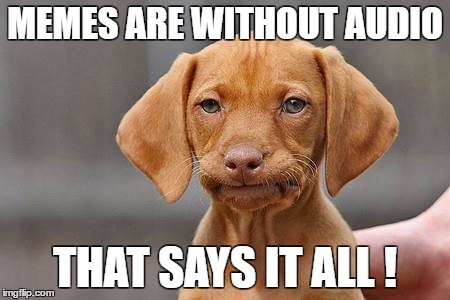 Dissapointed puppy | MEMES ARE WITHOUT AUDIO; THAT SAYS IT ALL ! | image tagged in dissapointed puppy | made w/ Imgflip meme maker
