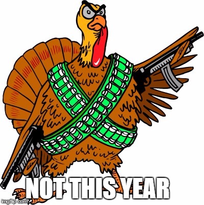 Gun Ready Turkey  | NOT THIS YEAR | image tagged in gun,turkey,food | made w/ Imgflip meme maker