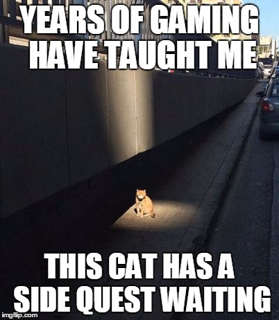 Cat Side Quest | YEARS OF GAMING HAVE TAUGHT ME; THIS CAT HAS A SIDE QUEST WAITING | image tagged in cat,side quest cat | made w/ Imgflip meme maker