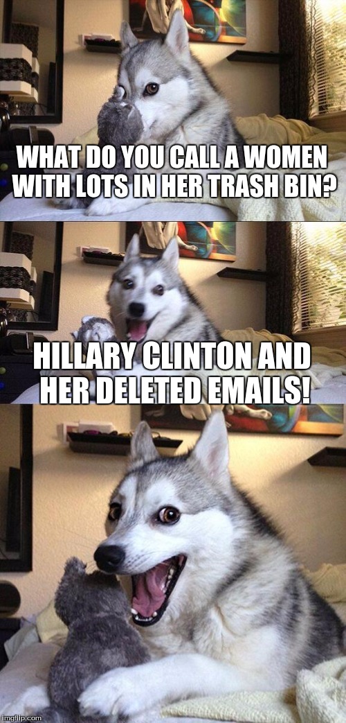Bad Pun Dog | WHAT DO YOU CALL A WOMEN WITH LOTS IN HER TRASH BIN? HILLARY CLINTON AND HER DELETED EMAILS! | image tagged in memes,bad pun dog | made w/ Imgflip meme maker