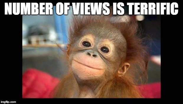 monkey fucks | NUMBER OF VIEWS IS TERRIFIC | image tagged in monkey fucks | made w/ Imgflip meme maker