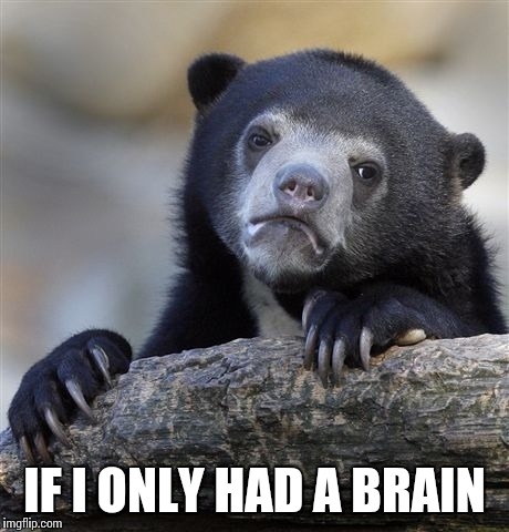 Confession Bear Meme | IF I ONLY HAD A BRAIN | image tagged in memes,confession bear | made w/ Imgflip meme maker