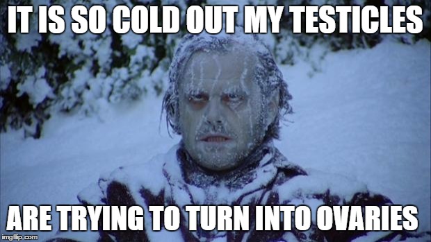 cold temps | IT IS SO COLD OUT MY TESTICLES; ARE TRYING TO TURN INTO OVARIES | image tagged in cold,testicles,ovaries,freezing,funny memes | made w/ Imgflip meme maker