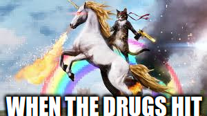 WHEN THE DRUGS HIT | image tagged in dont do drugs kids | made w/ Imgflip meme maker