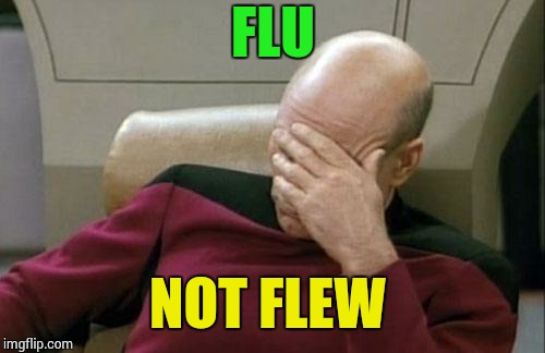 Captain Picard Facepalm Meme | FLU NOT FLEW | image tagged in memes,captain picard facepalm | made w/ Imgflip meme maker