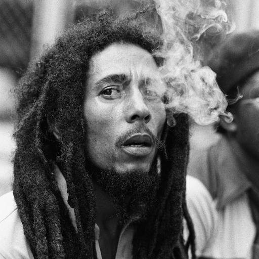 Bob Marley Smoking Blank Meme Template