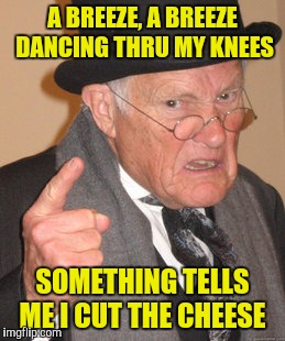 Back In My Day Meme | A BREEZE, A BREEZE DANCING THRU MY KNEES SOMETHING TELLS ME I CUT THE CHEESE | image tagged in memes,back in my day | made w/ Imgflip meme maker
