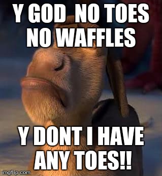 sad donkey | Y GOD  NO TOES NO WAFFLES; Y DONT I HAVE ANY TOES!! | image tagged in sad donkey | made w/ Imgflip meme maker