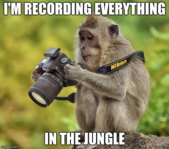 Photographer monkey | I'M RECORDING EVERYTHING; IN THE JUNGLE | image tagged in photographer monkey | made w/ Imgflip meme maker