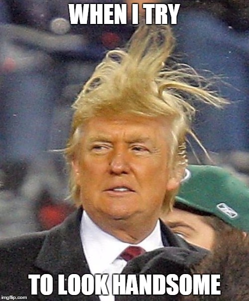 Donald Trumph hair | WHEN I TRY; TO LOOK HANDSOME | image tagged in donald trumph hair | made w/ Imgflip meme maker