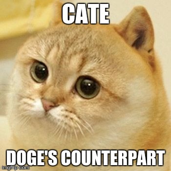Cat Doge | CATE; DOGE'S COUNTERPART | image tagged in cat doge | made w/ Imgflip meme maker