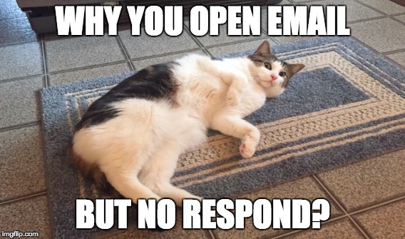 WHY YOU OPEN EMAIL; BUT NO RESPOND? | image tagged in cats,cat,email,ghost,recruitment,funny animals | made w/ Imgflip meme maker