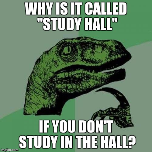Philosoraptor Meme | WHY IS IT CALLED "STUDY HALL"; IF YOU DON'T STUDY IN THE HALL? | image tagged in memes,philosoraptor | made w/ Imgflip meme maker