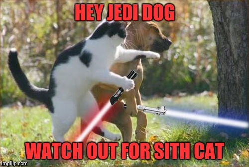 HEY JEDI DOG; WATCH OUT FOR SITH CAT | image tagged in star wars,jedi,dog,sith,cat | made w/ Imgflip meme maker