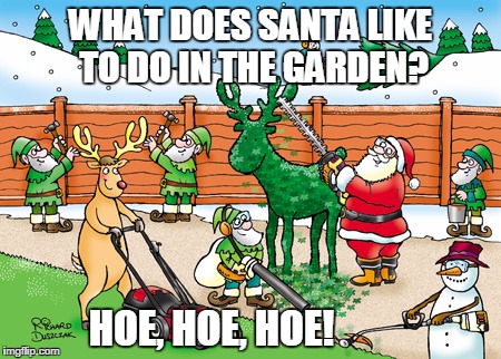 WHAT DOES SANTA LIKE TO DO IN THE GARDEN? HOE, HOE, HOE! | image tagged in santa the gardener | made w/ Imgflip meme maker