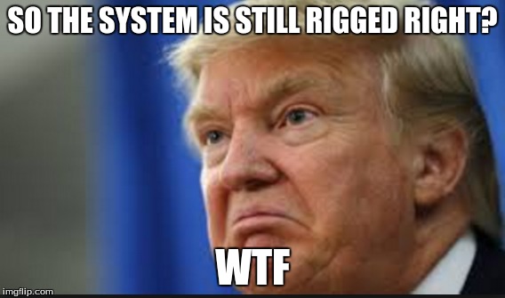 doland rumpt | SO THE SYSTEM IS STILL RIGGED RIGHT? WTF | image tagged in poop | made w/ Imgflip meme maker