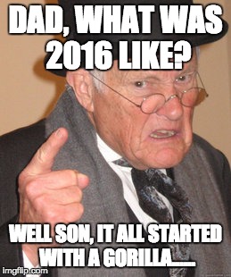 Back In My Day | DAD, WHAT WAS 2016 LIKE? WELL SON, IT ALL STARTED WITH A GORILLA...... | image tagged in memes,back in my day | made w/ Imgflip meme maker