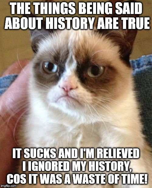 Grumpy Cat Meme | THE THINGS BEING SAID ABOUT HISTORY ARE TRUE; IT SUCKS AND I'M RELIEVED I IGNORED MY HISTORY, COS IT WAS A WASTE OF TIME! | image tagged in memes,grumpy cat | made w/ Imgflip meme maker