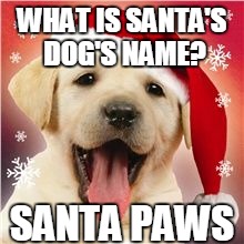 WHAT IS SANTA'S DOG'S NAME? SANTA PAWS | image tagged in santa's dog | made w/ Imgflip meme maker