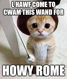 Cute cat | L HAWF COME TO CWAM THIS WAND FOR; HOWY ROME | image tagged in cute cat | made w/ Imgflip meme maker