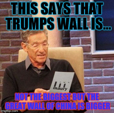Maury Lie Detector Meme | THIS SAYS THAT TRUMPS WALL IS... NOT THE BIGGEST BUT THE GREAT WALL OF CHINA IS BIGGER | image tagged in memes,maury lie detector | made w/ Imgflip meme maker