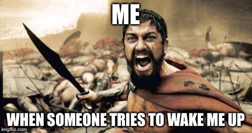 Sparta Leonidas | ME; WHEN SOMEONE TRIES TO WAKE ME UP | image tagged in memes,sparta leonidas | made w/ Imgflip meme maker