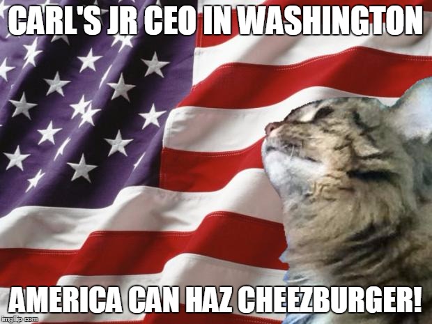 America Cat | CARL'S JR CEO IN WASHINGTON; AMERICA CAN HAZ CHEEZBURGER! | image tagged in america cat | made w/ Imgflip meme maker