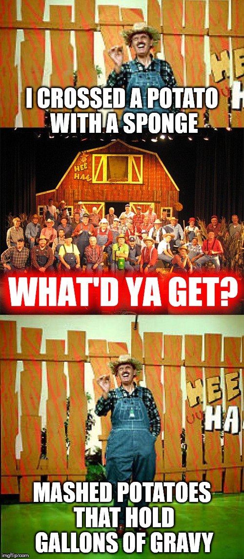 Hee haw I crossed a x with an x |  I CROSSED A POTATO WITH A SPONGE; MASHED POTATOES THAT HOLD GALLONS OF GRAVY | image tagged in hee haw i crossed a x with an x | made w/ Imgflip meme maker