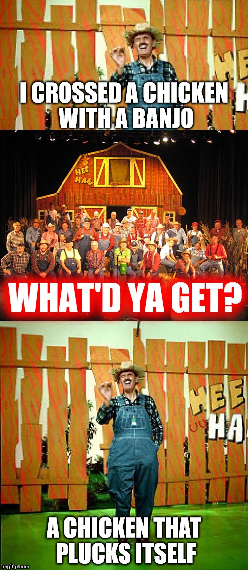 Hee haw I crossed a x with an x |  I CROSSED A CHICKEN WITH A BANJO; A CHICKEN THAT PLUCKS ITSELF | image tagged in hee haw i crossed a x with an x | made w/ Imgflip meme maker