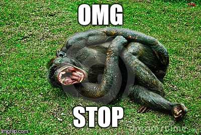 OMG STOP | made w/ Imgflip meme maker