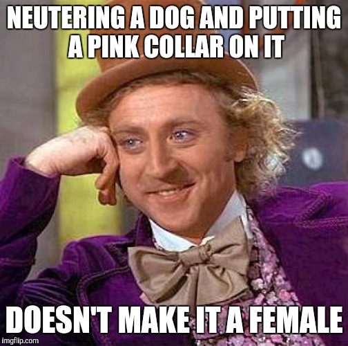 Identity politics  | NEUTERING A DOG AND PUTTING A PINK COLLAR ON IT; DOESN'T MAKE IT A FEMALE | image tagged in memes,creepy condescending wonka,transgender,identity politics | made w/ Imgflip meme maker
