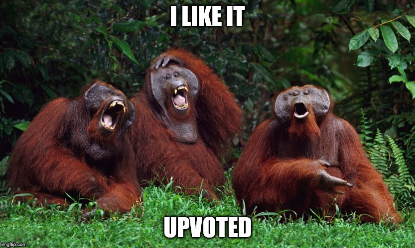 I LIKE IT UPVOTED | made w/ Imgflip meme maker