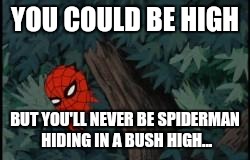 spiderman in bushes | YOU COULD BE HIGH; BUT YOU'LL NEVER BE SPIDERMAN HIDING IN A BUSH HIGH... | image tagged in spiderman in bushes | made w/ Imgflip meme maker