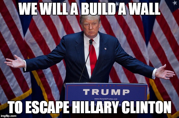 Donald Trump | WE WILL A BUILD A WALL; TO ESCAPE HILLARY CLINTON | image tagged in donald trump | made w/ Imgflip meme maker