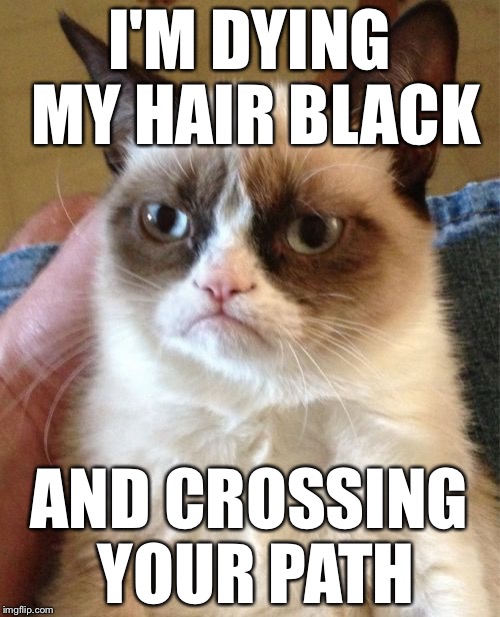 Grumpy Cat | I'M DYING MY HAIR BLACK; AND CROSSING YOUR PATH | image tagged in memes,grumpy cat | made w/ Imgflip meme maker