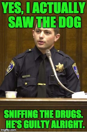 It was probably Snoop Dogg | YES, I ACTUALLY SAW THE DOG; SNIFFING THE DRUGS.  HE'S GUILTY ALRIGHT. | image tagged in memes,police officer testifying | made w/ Imgflip meme maker