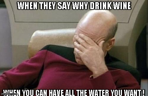 Captain Picard Facepalm Meme | WHEN THEY SAY WHY DRINK WINE; WHEN YOU CAN HAVE ALL THE WATER YOU WANT ! | image tagged in memes,captain picard facepalm | made w/ Imgflip meme maker