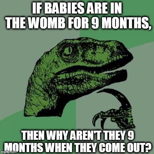 Philosoraptor | IF BABIES ARE IN THE WOMB FOR 9 MONTHS, THEN WHY AREN'T THEY 9 MONTHS WHEN THEY COME OUT? | image tagged in memes,philosoraptor | made w/ Imgflip meme maker