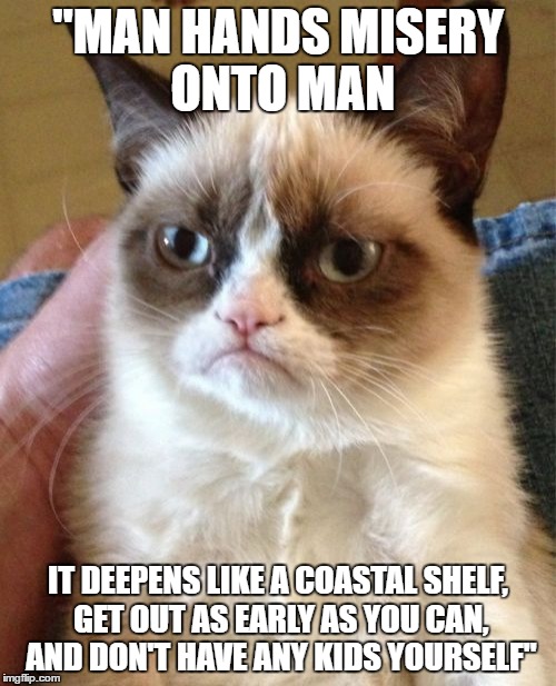 When life gives you misery, don't spread it. | "MAN HANDS MISERY ONTO MAN; IT DEEPENS LIKE A COASTAL SHELF, GET OUT AS EARLY AS YOU CAN, AND DON'T HAVE ANY KIDS YOURSELF" | image tagged in memes,grumpy cat,misery | made w/ Imgflip meme maker
