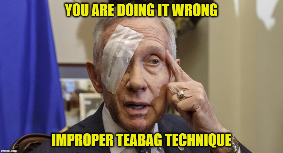 Harry Reid | YOU ARE DOING IT WRONG; IMPROPER TEABAG TECHNIQUE | image tagged in harry reid | made w/ Imgflip meme maker